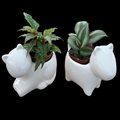 2.5 Ceramic Dog & Cat Asst w/ Foliage (Box of 24)